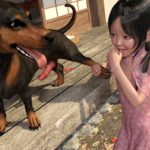 little girl watches dog's boner and sucks doggy cock 3d porn xxx hentai
