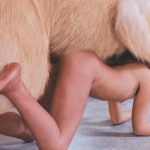 Dog fuck naked Alice Williams game porn sex orgasm